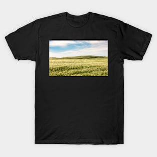 Wheat Field, Late August T-Shirt